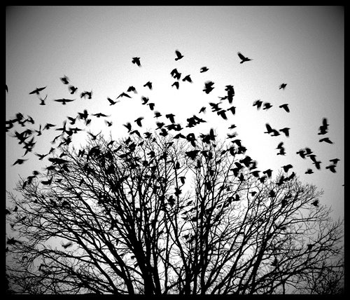 [426039172_a21a40fe4b[1].jpg]